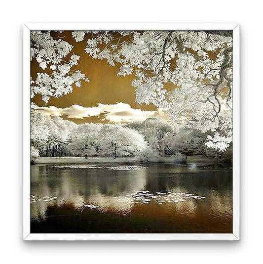 Sakura And Lake