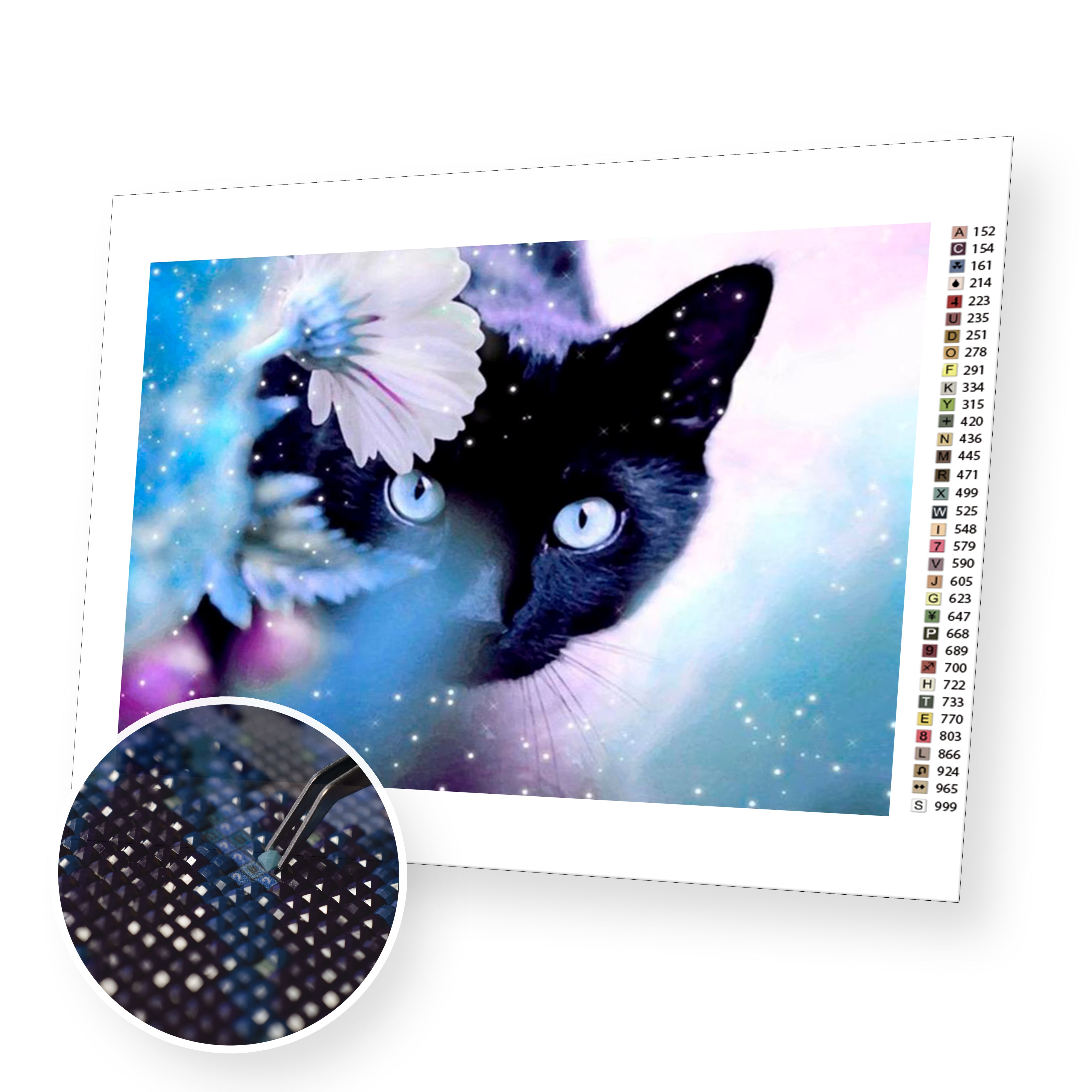 MXJSUA DIY 5D Diamond Painting Cat by Number Kits for Adults, Black Cat Diamond  Painting Kits Round Full Drill Diamond Art Kits Black Cat Picture Arts  Craft for Home Wall Art Decor