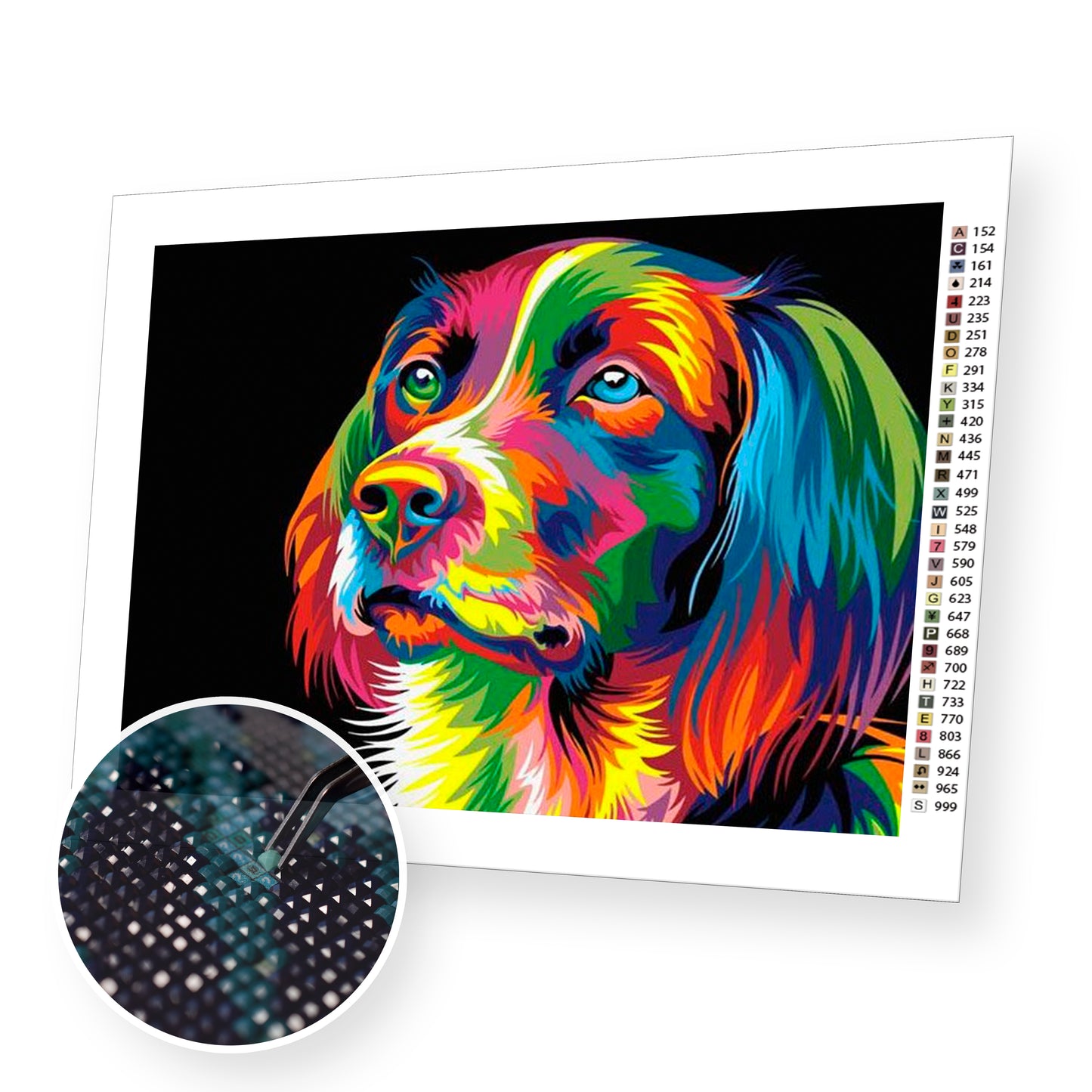Colorful Dog - Diamond Painting 