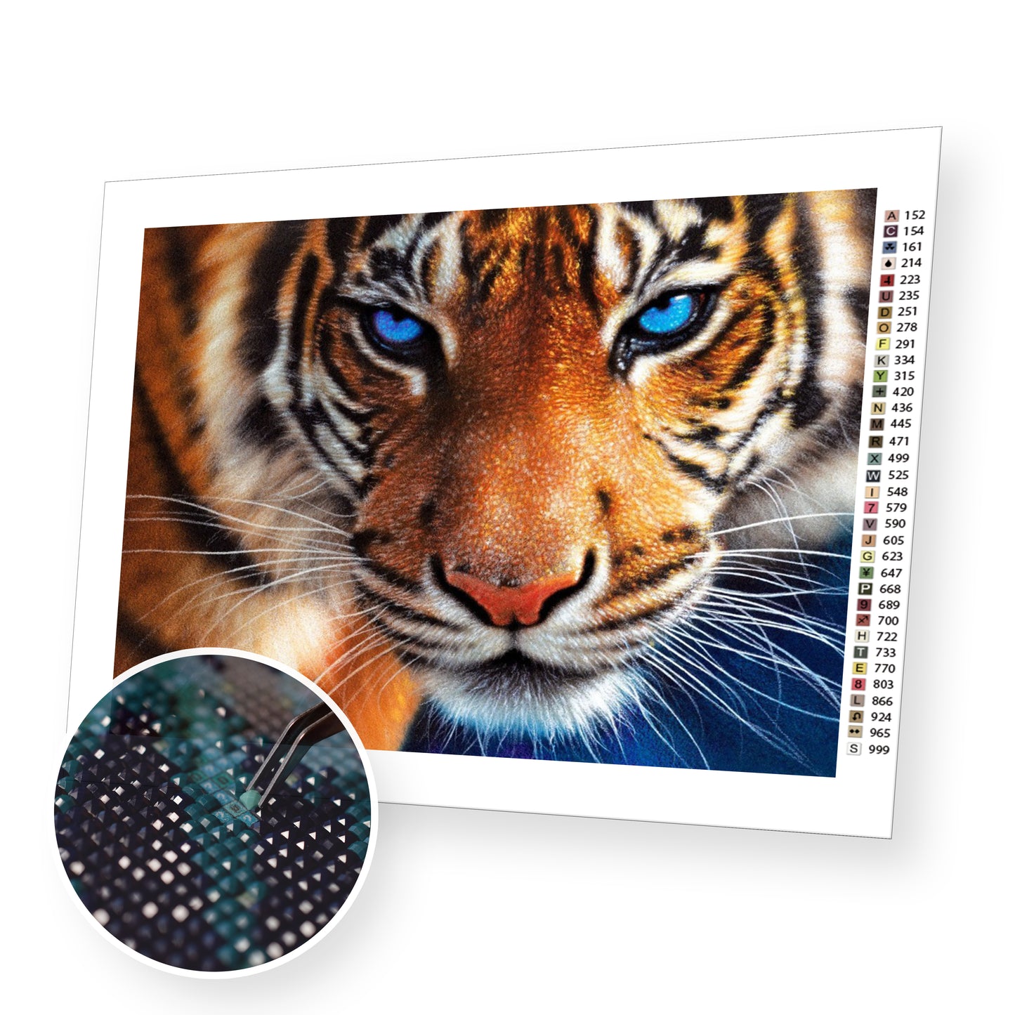 Tiger Close-Up - Diamond Painting Kit - [Diamond Painting Kit]